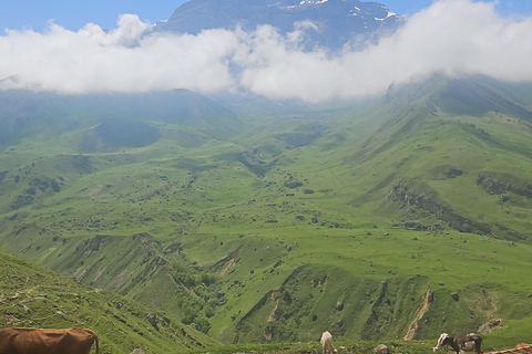 巴库：沙赫达格与糖果拐杖山3日游