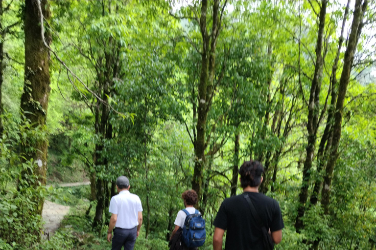 Pokhara: Annapurna Foothills Day Group Hike with Transfers