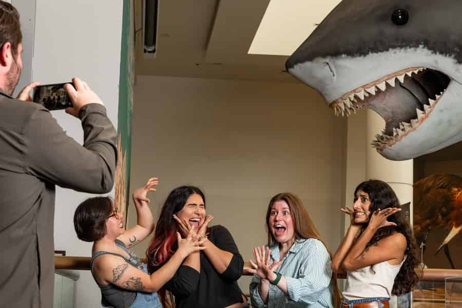 San Diego Natural History Museum Nighttime Entry Ticket. Foto: GetYourGuide