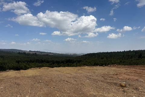 Addis Ababa: Mount Entoto Hike, Injera & Hyena Experience
