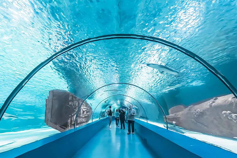 Antalya: Aquarium Tour with Hotel Pickup & Combo Options Antalya Aquarium & Wax Museum Entry Ticket