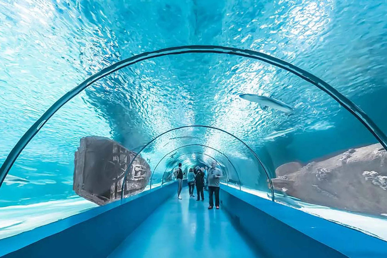 Antalya: Aquarium Tour with Hotel Pickup & Combo Options Antalya Aquarium & Wax Museum Entry Ticket