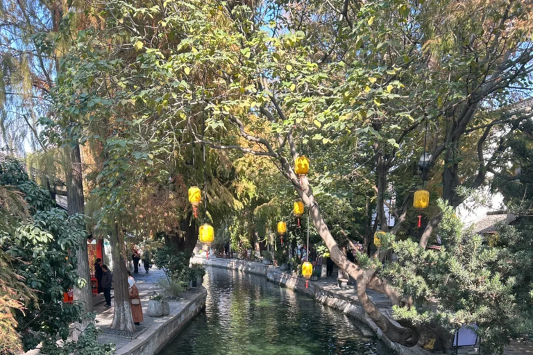 Shanghai: Ancient Town & Cultural Private Tour Customizable