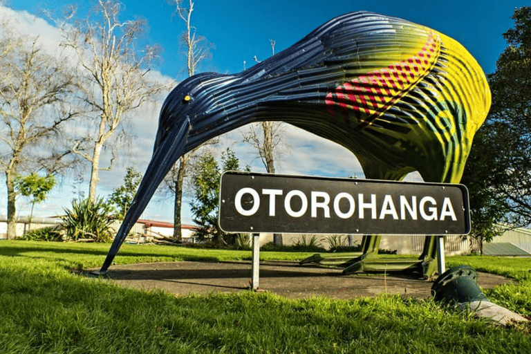 Vanuit Auckland: Waitomo Grotten en Kiwi Huis Groepstour