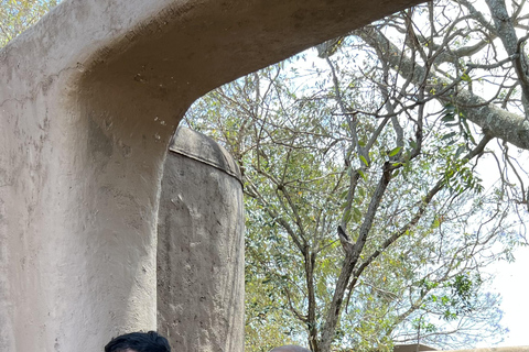 Viaggio di un giorno da Nairobi a Maasai Mara - AWNairobi: Escursione di un giorno nella Riserva Nazionale di Maasai Mara - Privato