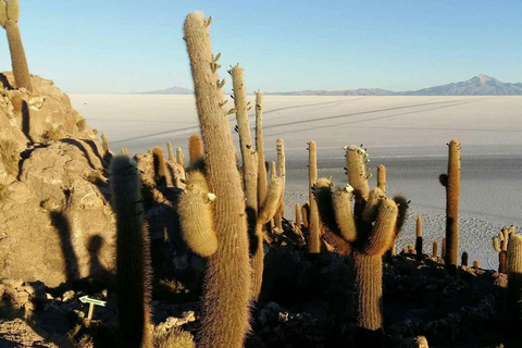 Atacama: 3-tägige Tour zum Uyuni-Salzsee |Private Tour|