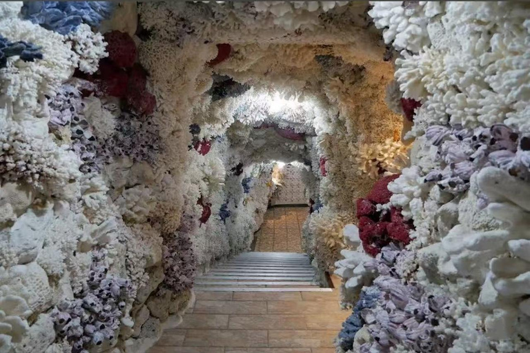 Taipei: Yehliu, Jinshan, and Juming Museum Day Trip 10-hour journey {eight-seater business car}