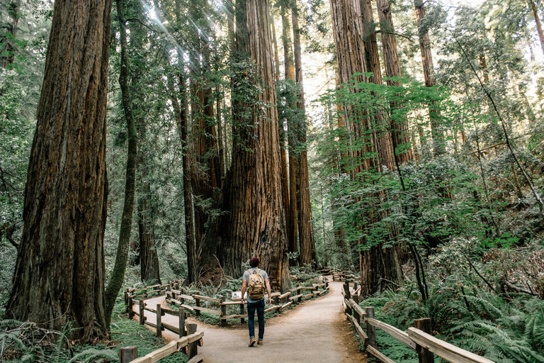 San Francisco: Cykeltur med Muir Woods och besök i SausalitoElektrisk cykel