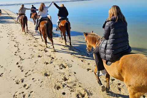 Paardrijden op het strand - PDTPaardrijden op het strand in groep