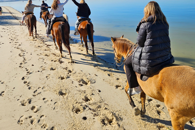 Montar a caballo en la playa - PDTPaseos a caballo por la playa en grupo