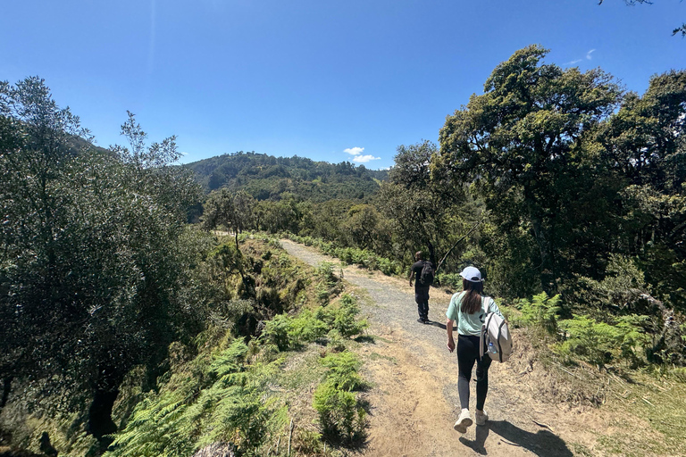 Addis Ababa: 14-Day Adventure and Nature Tour(customizable)