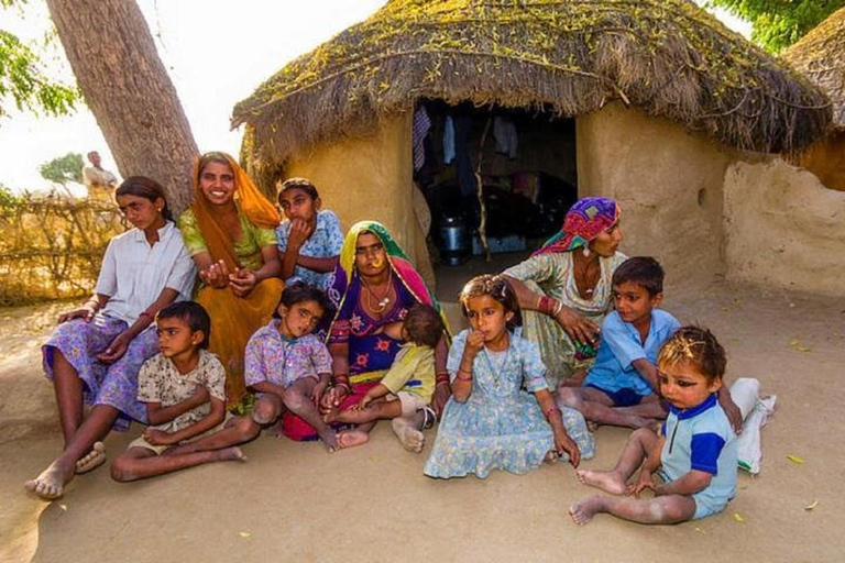 Jodhpur Bishnoi Village Safari With Meal - A Day Tour Private Transport + Local Guide + Entry Tickets.