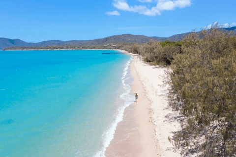 Airlie Beach: Whitsunday Coastal Culture & Pub Tour