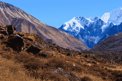 From Kathmandu: Langtang Valley Trekking Adventure