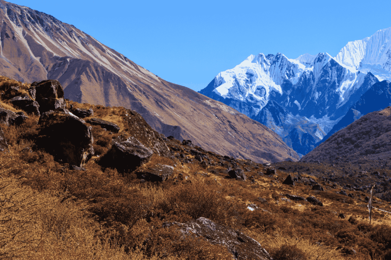 From Kathmandu: Langtang Valley Trekking Adventure