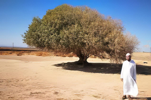 Amman: The blessed tree and Seven Sleepers Day Trip