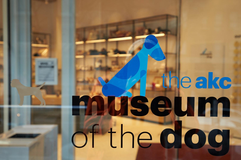 New York City: Attraction Pass with Must See Sights 5 Days Attraction Pass