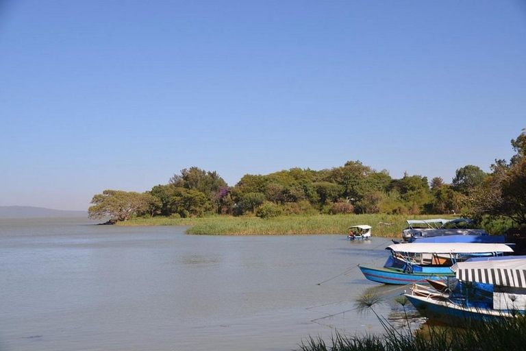 Bahir Dar: Lake Tana Monasteries & Blue Nile Falls Tour