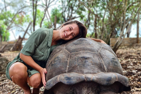 Ciudad de piedra y prisión Isla