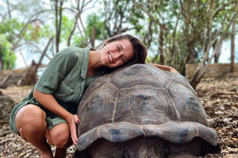 Ciudad de piedra y prisión Isla