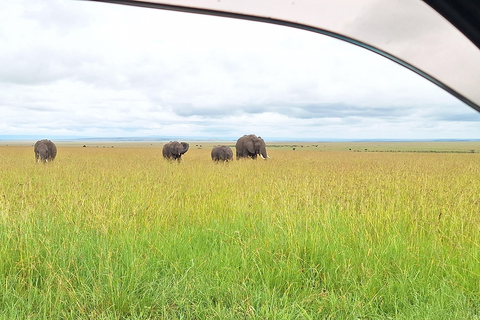 Viaggio di un giorno da Nairobi a Maasai Mara - AWNairobi: Escursione di un giorno nella Riserva Nazionale di Maasai Mara - Privato