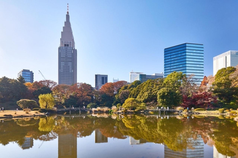 Tokyo: Shinjuku Gyoen National Garden Entry Ticket
