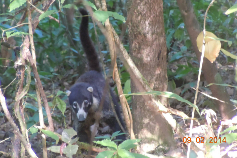 La Gamba: Nationalpark Piedras Blancas