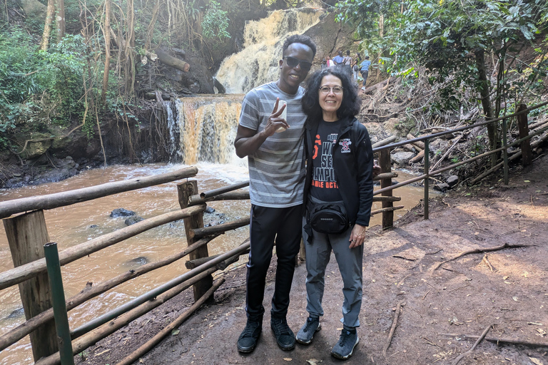 Karura Forest walking tour with nature and waterfalls.