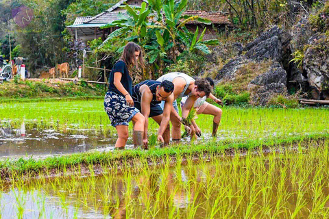 Z Hanoi: 2-dniowa wycieczka grupowa Premium do Mai Chau