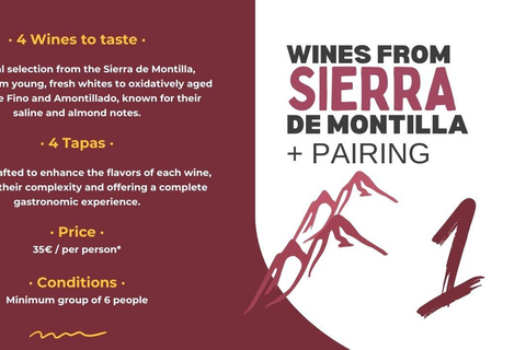 Córdoba: Sierra de Montilla Wine Tasting and Pairing