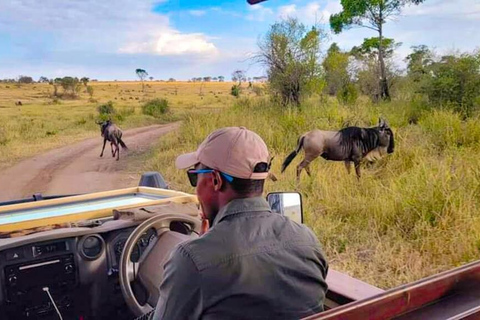 Zanzibar : Excursion d'une journée au parc national de Mikumi depuis Zanzibar