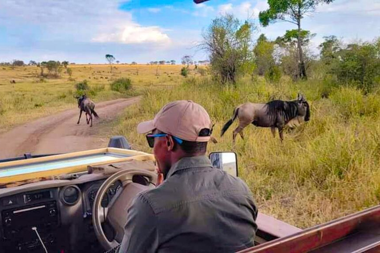 Zanzibar : Excursion d'une journée au parc national de Mikumi depuis Zanzibar