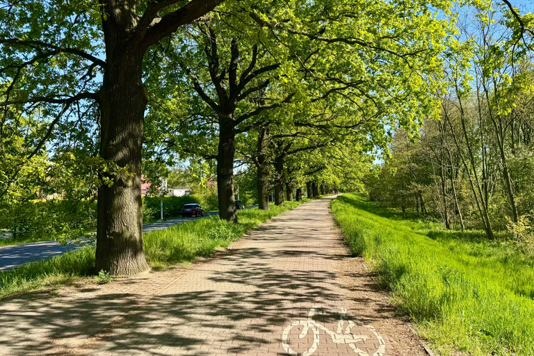 Wrocław: Discover the Green City - eBike Tour along nature Green City