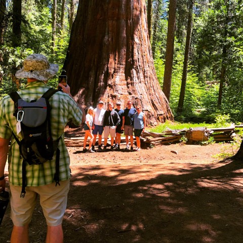 Visit Yosemite Giant Sequoia Private 4X4 Jeep Tour in Bass Lake