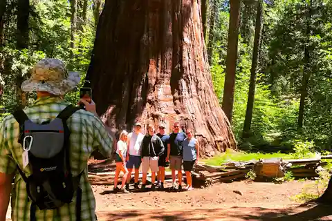 Yosemite Giant Sequoia Private 4X4 Jeep Tour