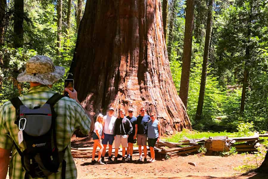 Yosemite Giant Sequoia Private 4X4 Jeep Tour. Foto: GetYourGuide