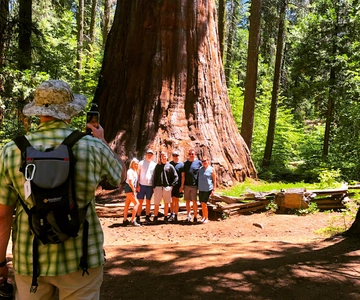 Yosemite Giant Sequoia Private 4X4 Jeep Tour