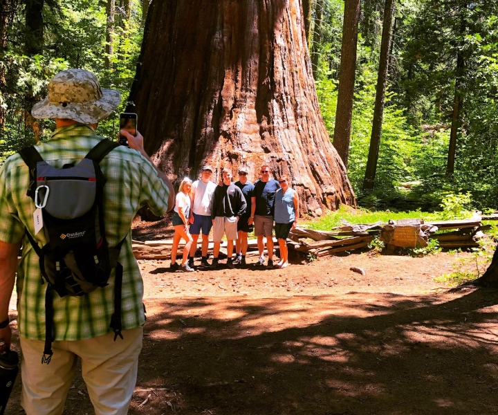 Yosemite Giant Sequoia Private 4X4 Jeep Tour