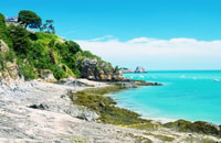 Monterey, Carmel, 17 Mile DR, Big Sur & McWay Falls Pvt Tour - Housity