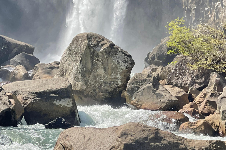 Japonia: 8-dniowa wycieczka z przewodnikiem z zakwaterowaniem i transportem