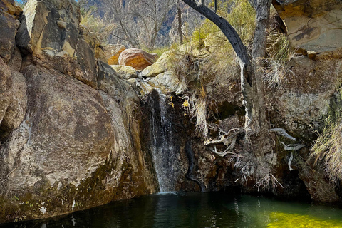 Las Vegas: gezinsvriendelijke begeleide wandeling naar Emerald Falls
