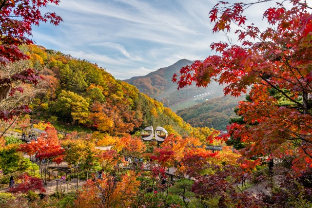 Visit Hwadam Botanic Garden & Namhansanseong Fortress Day Tour in Gwangju