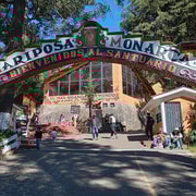 Mexico : visite du sanctuaire des papillons monarques avec transfert