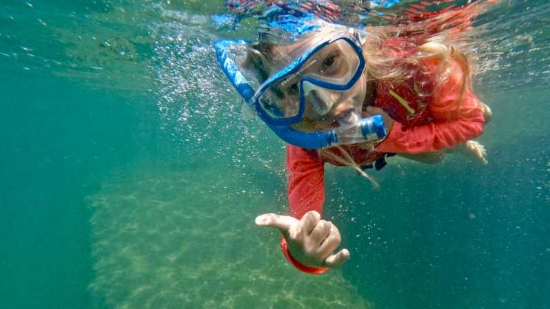 Oahu: Honolulu Beginner Snorkeling Tour