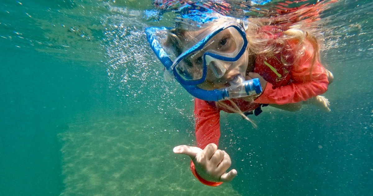 Waikiki Honolulu Beginner Snorkeling Tour GetYourGuide