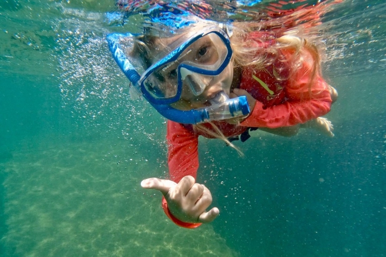 Honolulu: wycieczka dla początkujących z nurkowaniem z filmami