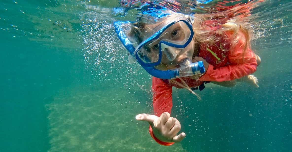 Plongée sous-marine et snorkeling, Hawaï, 2024