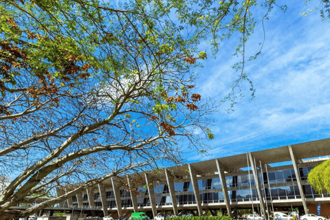 Rio de Janeiro: Modern Architecture Experience with Guide