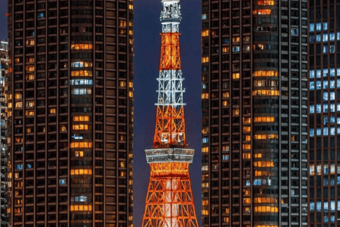 Tokyo Full Day Customizable Private Tour with English Guide