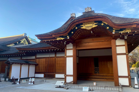 Nagoya’s Cultural Gems: Castle and Historic Residences